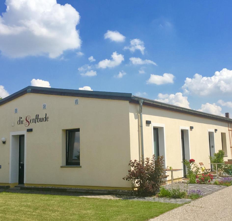 Die Senfbude - Klein Aber Fein - Wunderschoenes Studio-Apartment Mit Terrasse Und Stellplatz Leipzig Luaran gambar