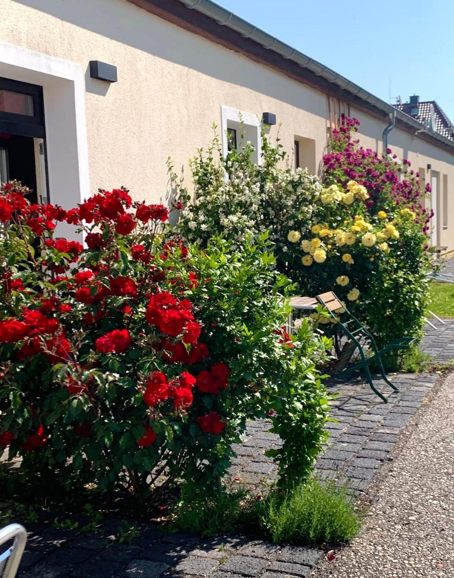 Die Senfbude - Klein Aber Fein - Wunderschoenes Studio-Apartment Mit Terrasse Und Stellplatz Leipzig Luaran gambar